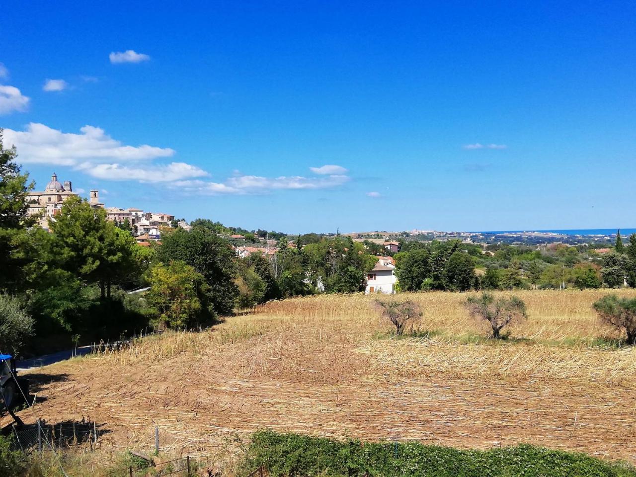 Agriturismo Rosa Antica Monte San Vito Exterior foto